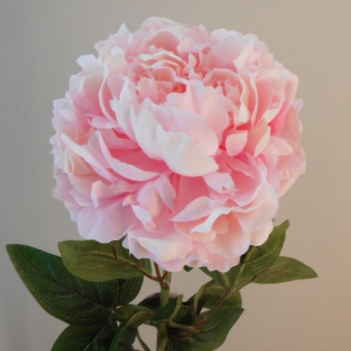 Peony Artificial Flowers